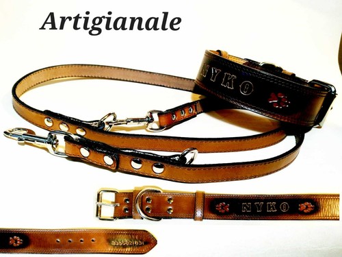 Abbinamento collare - abbinamento, +
