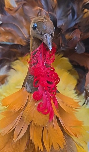 Pollo decò con - decò, vere