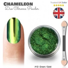 Polvere Unghie Camaleonte