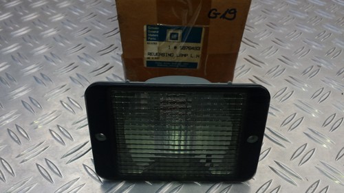Pontiac trans sport fanale - trans,
