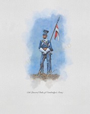 17th Lancer Trooper, (Duke of