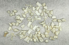 Games Workshop - Lotto Lavoro