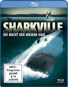 Sharkville die bucht der - sharkville,