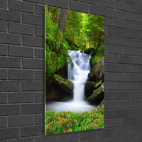 Quadro stampa plexiglas - quadro,