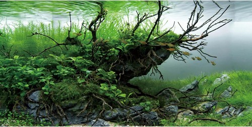 Sfondo acquario 48x20 vinile - sfondo,