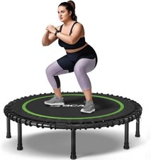 550LBS Foldable Mini
