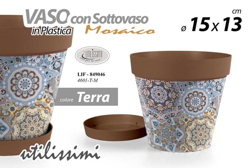 Vaso piante grasse fiori - piante,