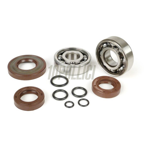 Kit cuscinetti paraolio per - paraolio,
