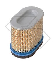 Filtro aria BRIGGS&STRATTON