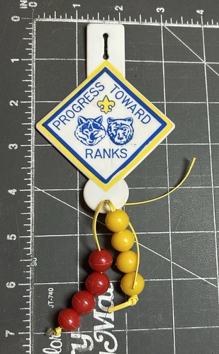 Ragazzo scout america - america, bsa