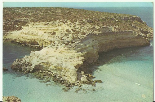 Lampedusa isola dei - (ag),