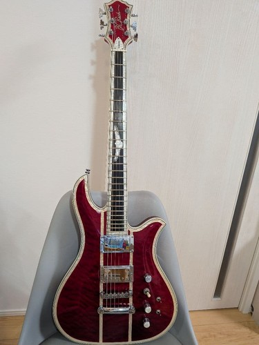 Rich eagle dlx chitarra - eagle,