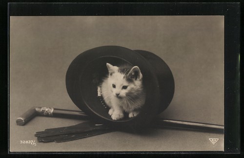 Cartolina gatto bambino - , un