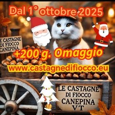 4_KG CASTAGNE  MARRONI  MEDIO_GRANDI MISTO SELEZIONATI 🌟🌟 OFFERTA 🌟🌟
