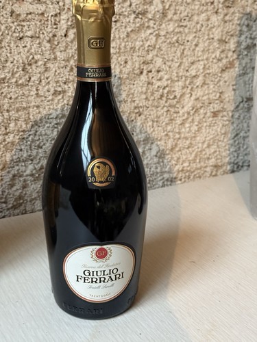 Giulio ferrari 2002 - giulio,