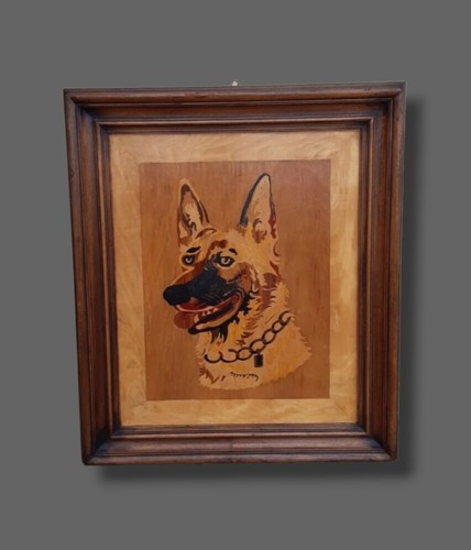 Quadro cane pastore tedesco - pastore,