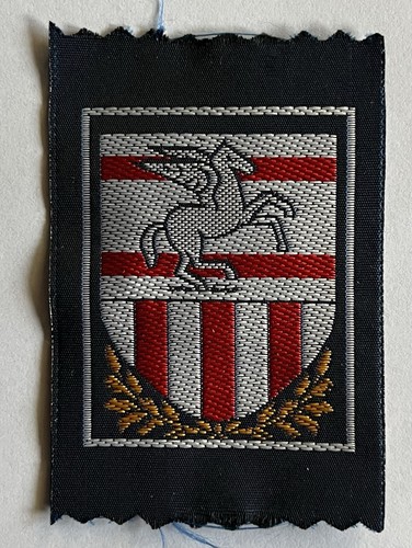 Scout agesci distintivo - agesci,