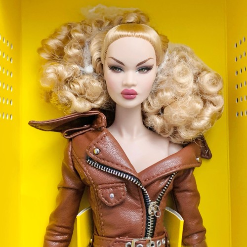 Integrity fashion royalty - fashion,