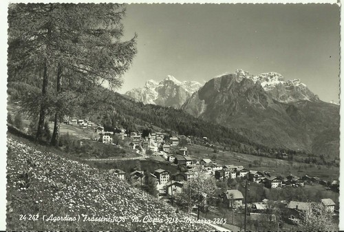 Agordino frassene - (bl)-,
