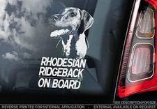Rhodesian Ridgeback - Car