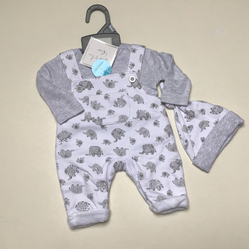 Set completo elefante