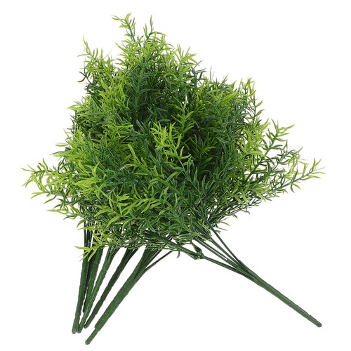 Pcs pianta di rosmarino - ,