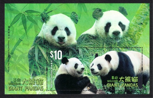 Hong kong china 2024 - hong,