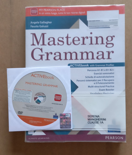 Libro scuola mastering grammar - libro,
