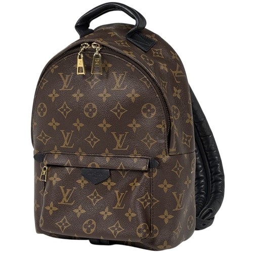 Louis vuitton palm springs - louis,