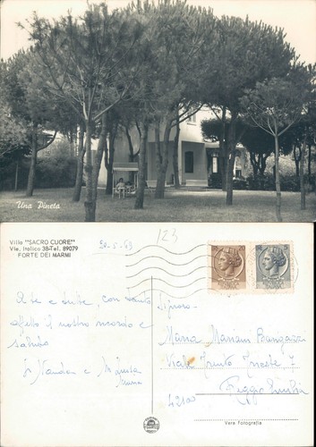 Forte dei marmi villa - forte,