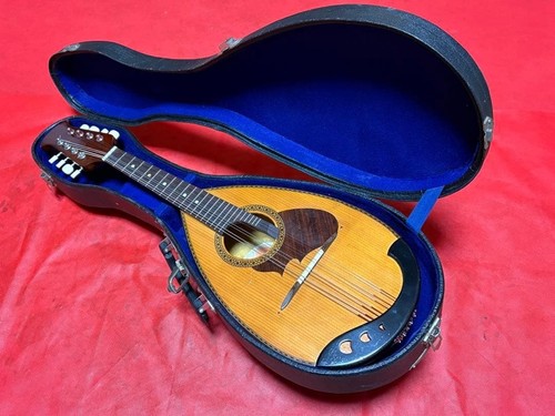 Suzuki 210 mandolino - m-210, violino