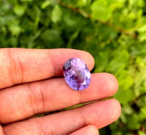 Voilet blue purple sri lanka - purple,