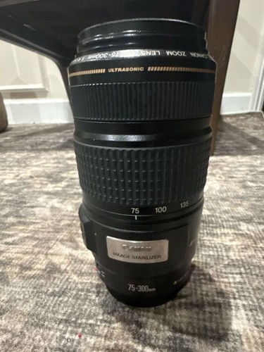 Canon 300 4 - mm, is