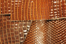 B2 scampoli pelle pellame