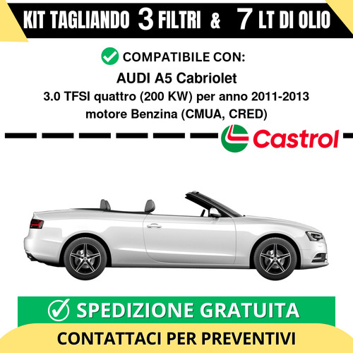 Tagliando per audi - tagliando,