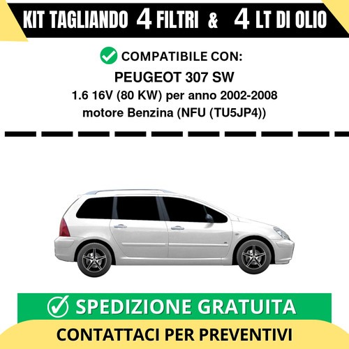 Tagliando per peugeot 307 - tagliando, sw