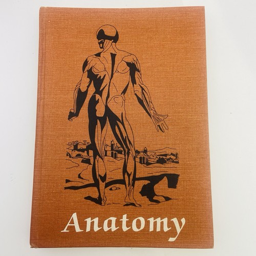 Anatomy regional study - study, of