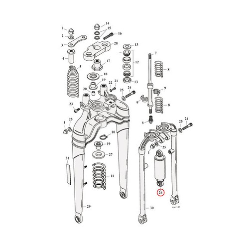 Forcella springer - forcella,