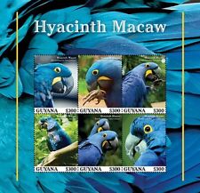 2023 04- GUYANA - HYACINTH