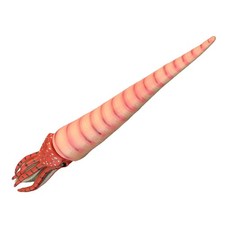 Orthoceras Modèle Animal