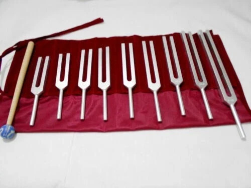 Forcella tuning sacra - 9,
