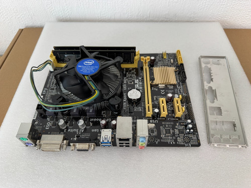 Scheda madre asus - scheda,