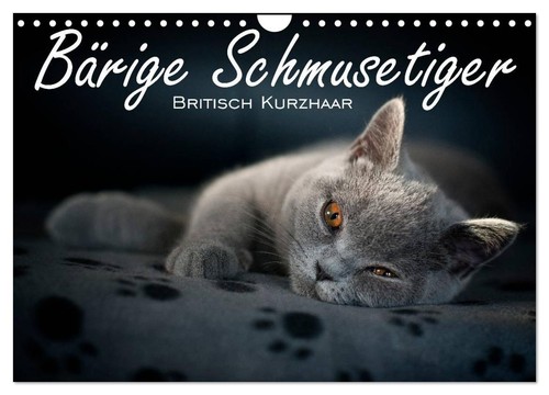 Bärige schmusetiger - bärige,