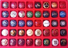 Lot n°2  40 capsules de