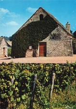 71 MERCUREY LA CAVEAU