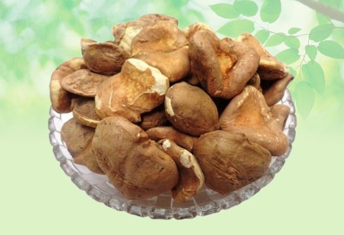Singhara castagno acqua - castagno,