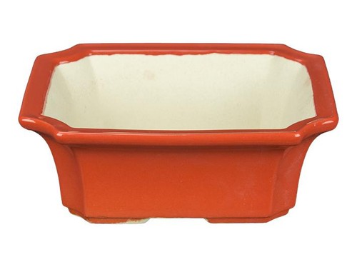 Vaso per bonsai rettangolare