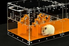 ™ Small Pet Maze (V1) – Innovative Maze for Hamsters, Rats, Mice, Gerbils, an...