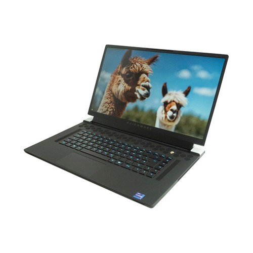 Alienware x17 3 - 17,3, notebook