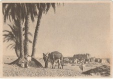 cartolina lotteria di Tripoli
